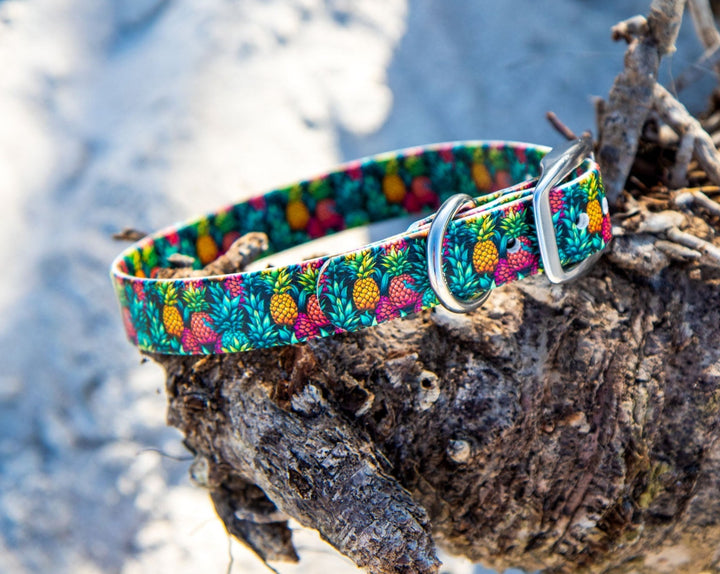 Pineapple BioThane® Dog Collar | Waterproof Pet Gear