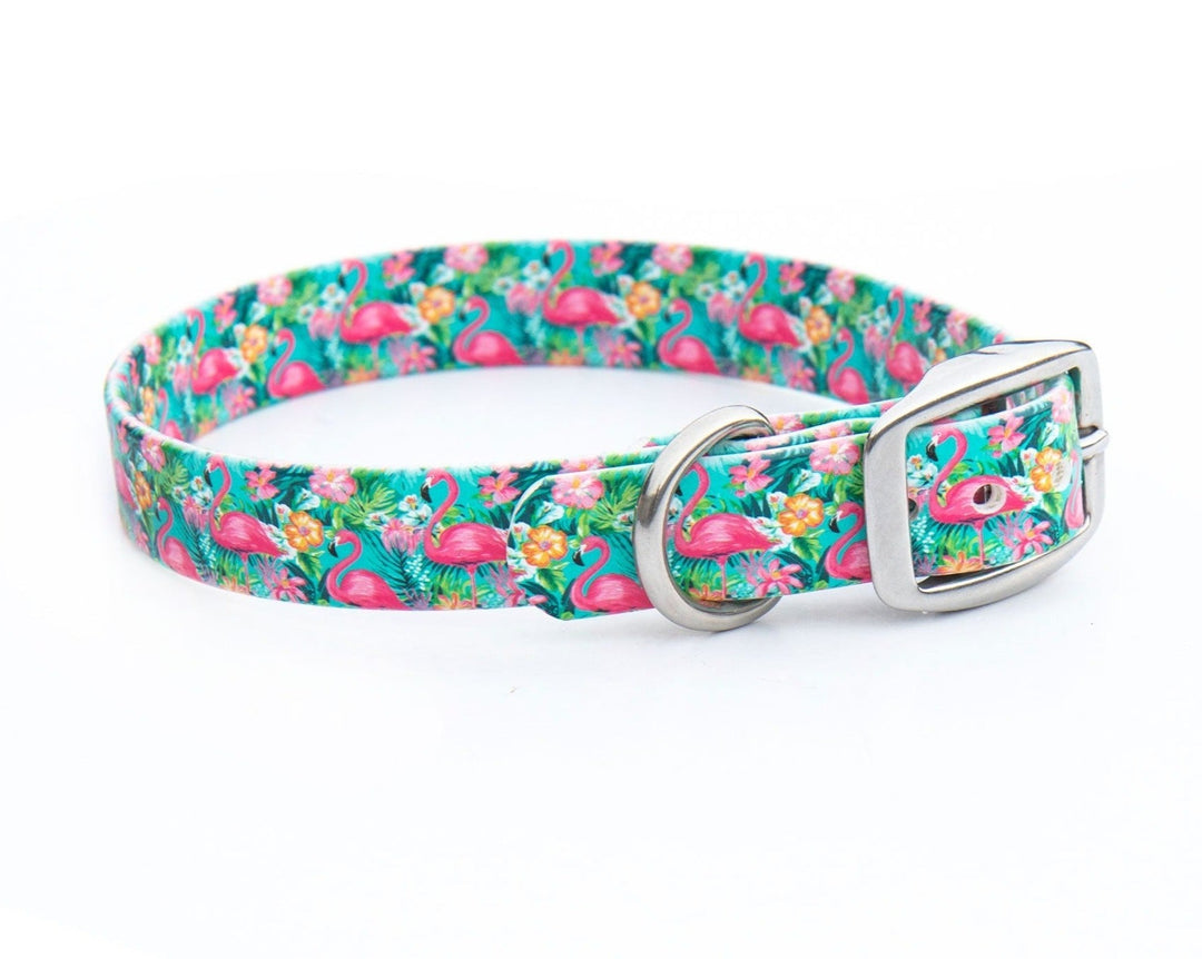 Tropical Flamingo Waterproof Dog Collar | SeaFlower Co