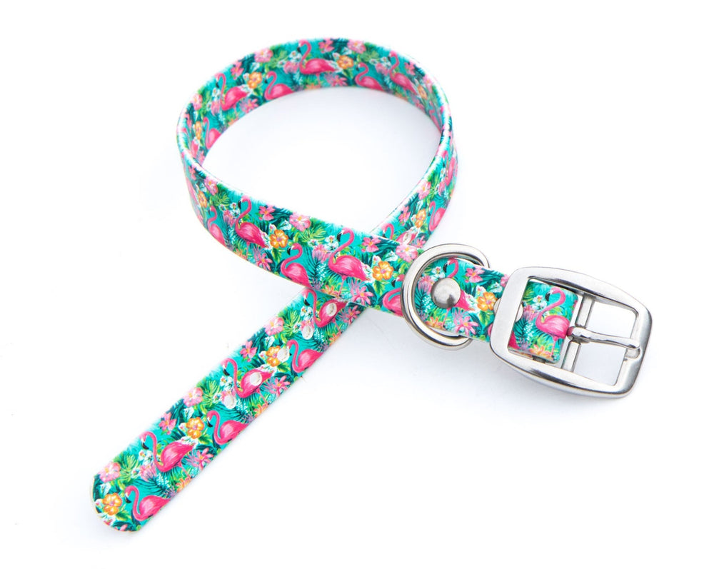 Tropical Flamingo Waterproof Dog Collar | SeaFlower Co
