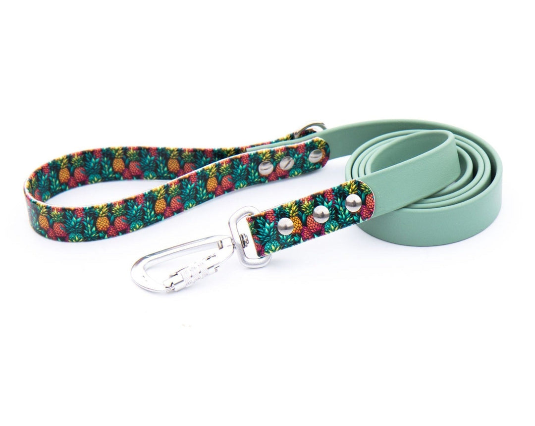 Pineapples BioThane® Leash | Waterproof, Stink-Proof Pet Gear