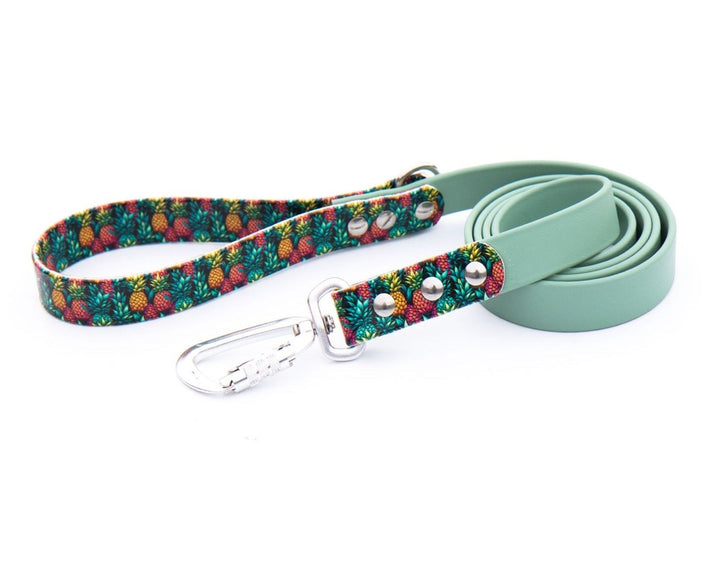 Pineapples BioThane® Leash | Waterproof, Stink-Proof Pet Gear