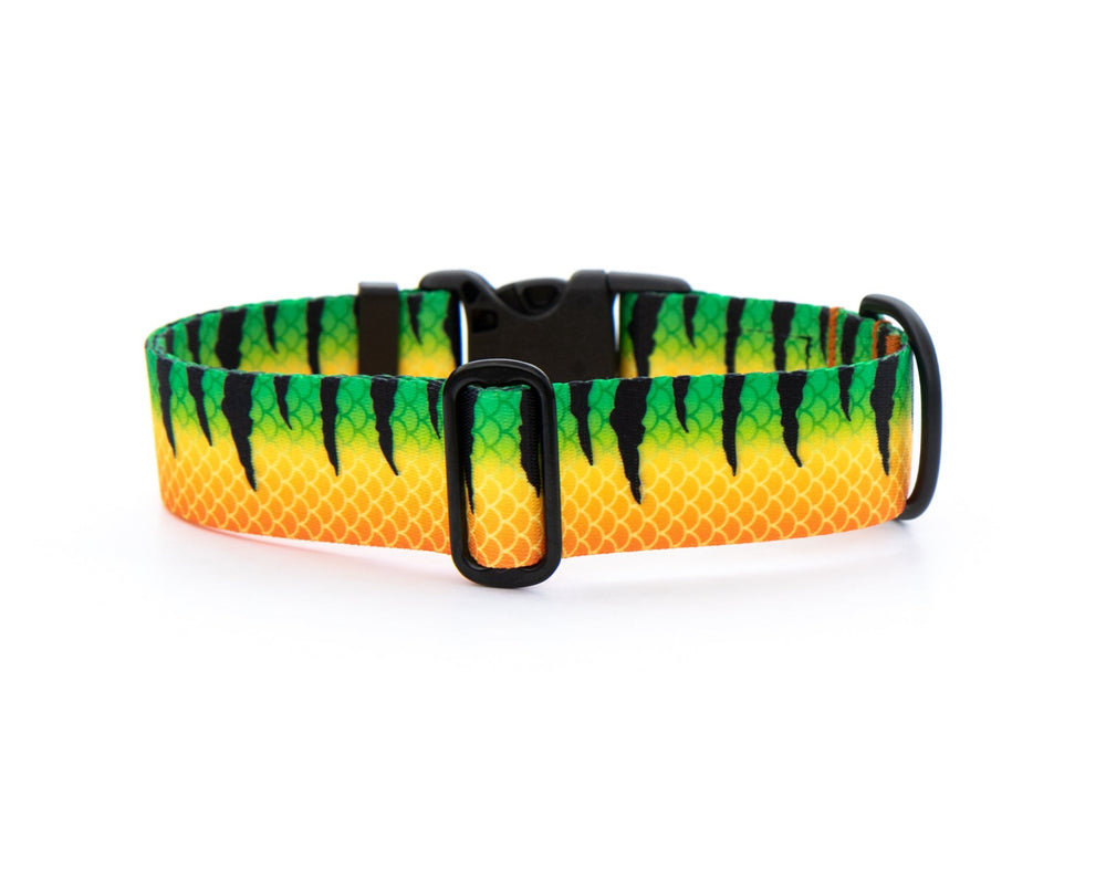 Fire Tiger Dog Collar | SeaFlower Co
