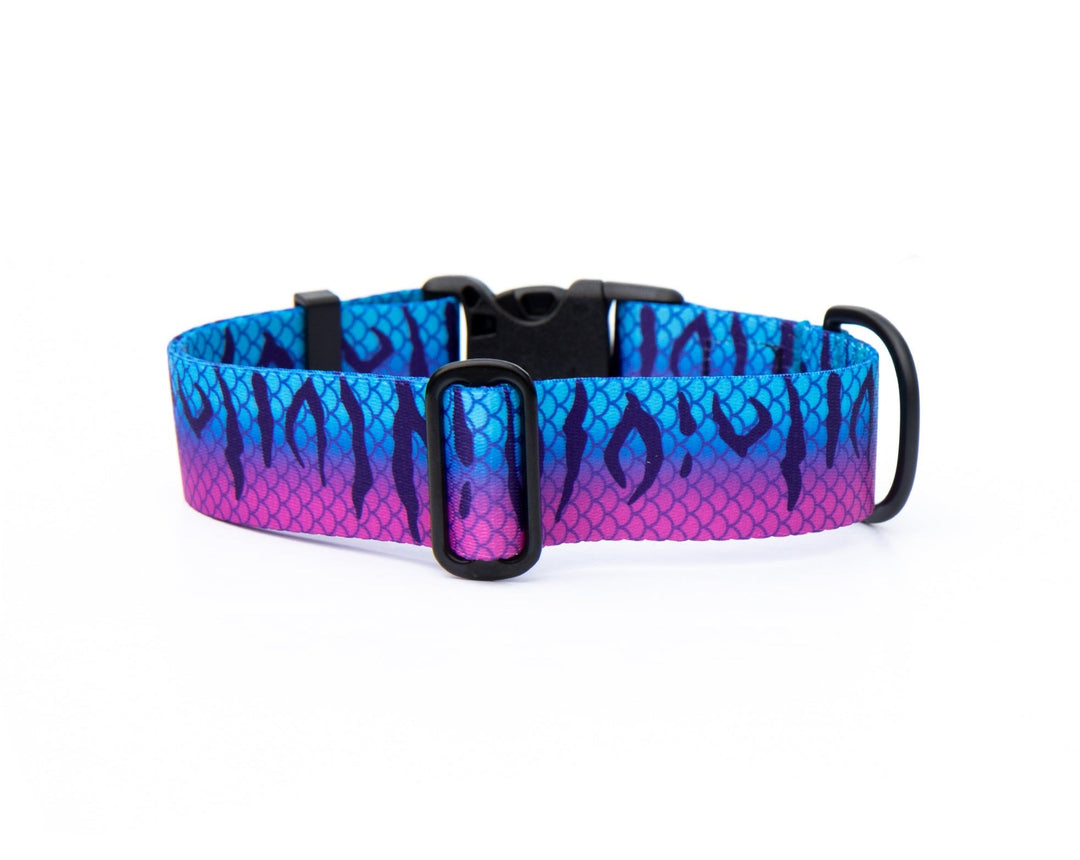 Purple Mackerel Dog Collar | SeaFlower Co