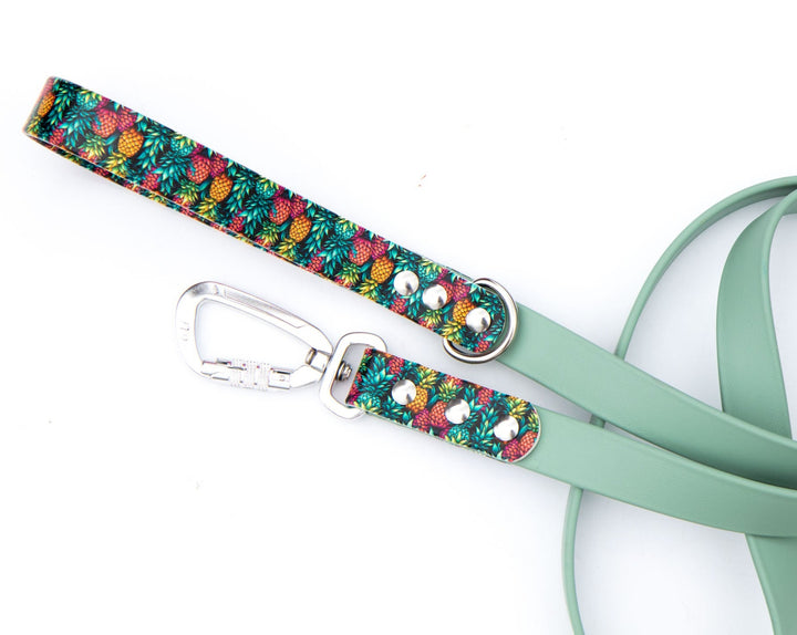 Pineapples BioThane® Leash | Waterproof, Stink-Proof Pet Gear