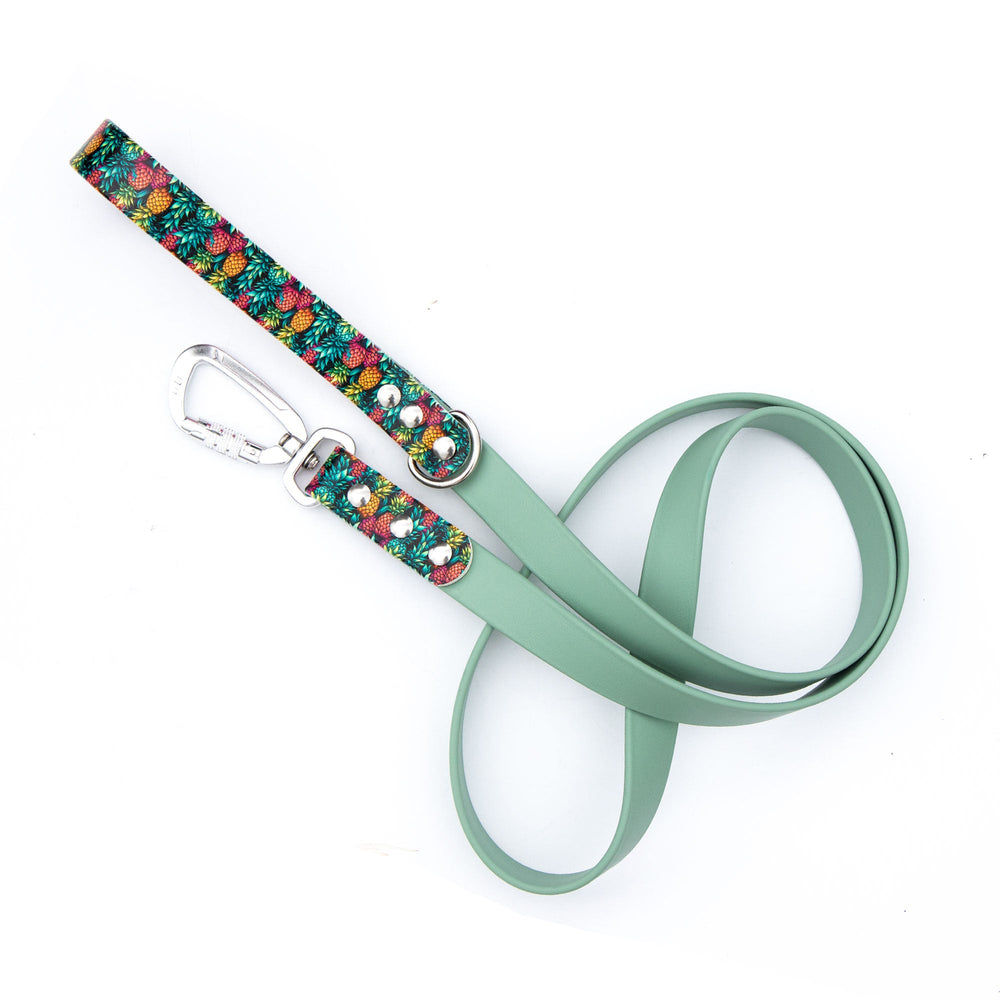 Pineapples BioThane® Leash | Waterproof, Stink-Proof Pet Gear