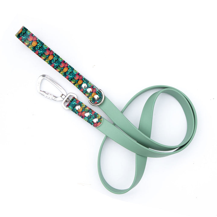 Pineapples BioThane® Leash | Waterproof, Stink-Proof Pet Gear