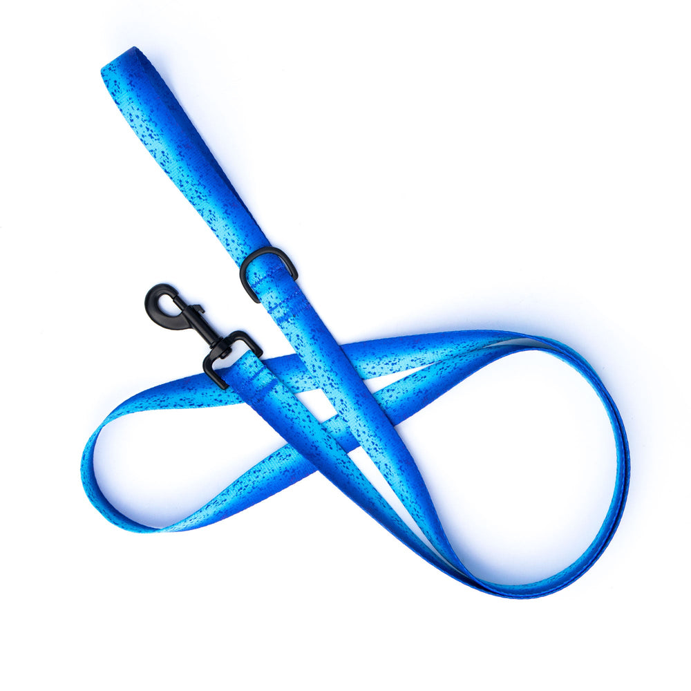 Blue Dorado Leash | SeaFlower Co