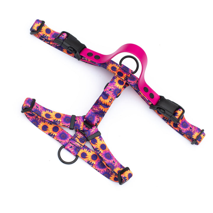 Adjustable Dog Harness With Handle | SeaFlower Co