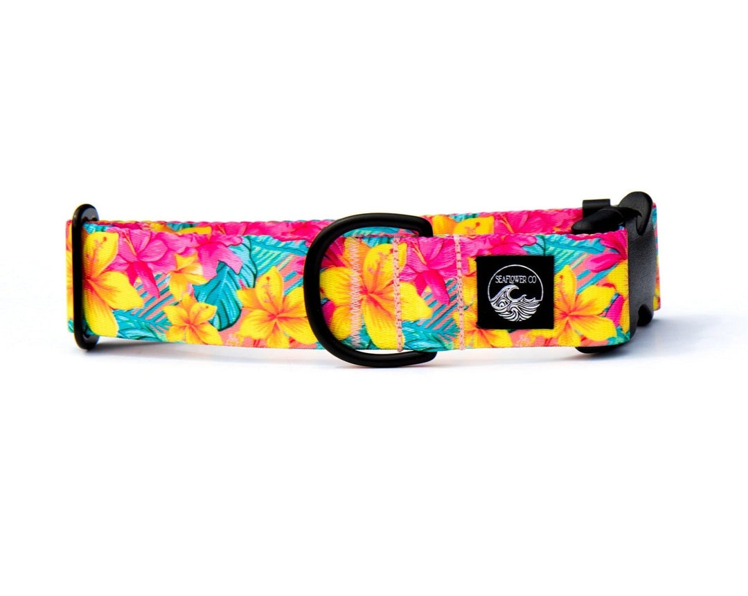 Yellow Hawaiian Floral Dog Collar | SeaFlower Co