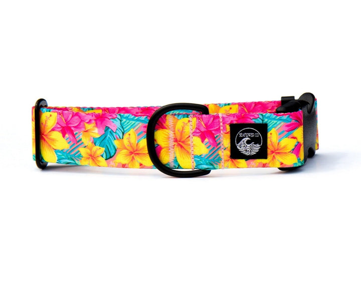 Yellow Hawaiian Floral Dog Collar | SeaFlower Co