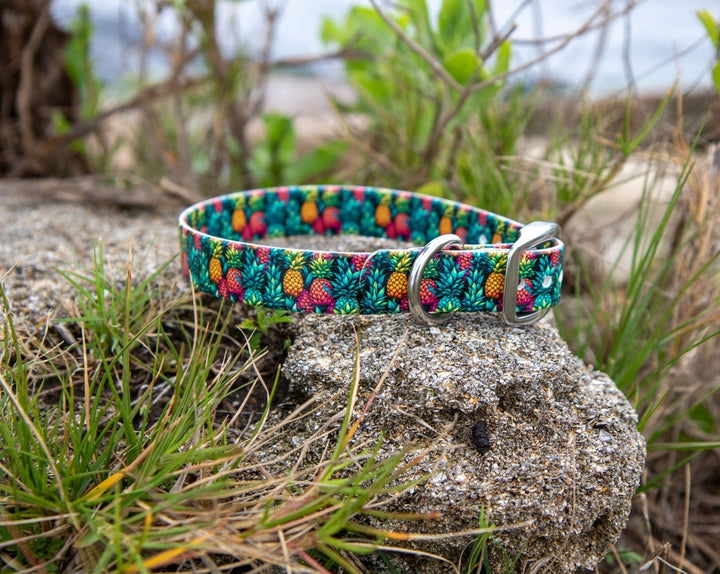 Pineapple BioThane® Dog Collar | Waterproof Pet Gear
