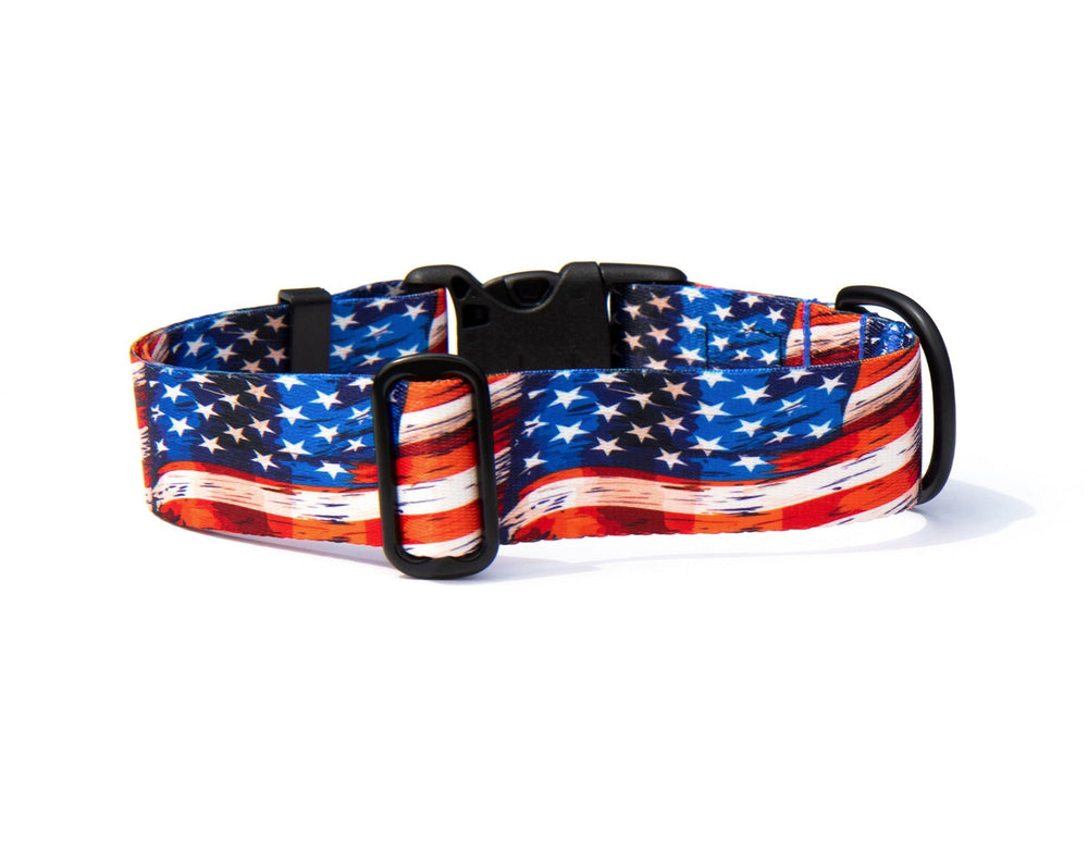 American Flags Dog Collar | SeaFlower Co