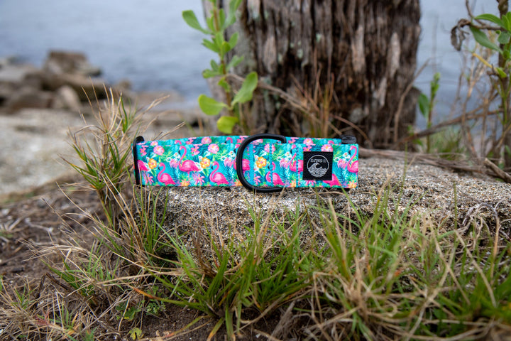 Flamingo Summer Dog Collar | SeaFlower Co