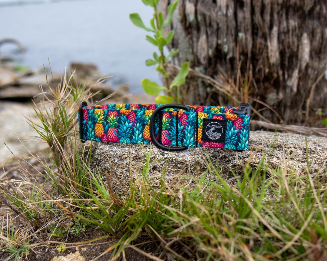 Summer Pineapples Durable Pet Collar | SeaFlower Co
