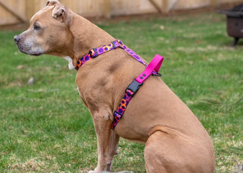 Adjustable Dog Harness With Handle | SeaFlower Co