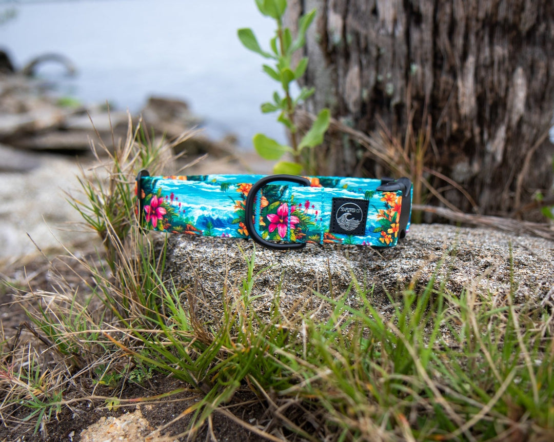 Hawaii Beach Pet Collar | Stylish & Durable Dog Wear