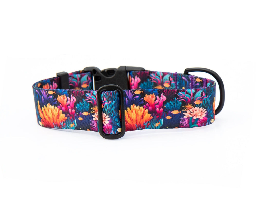 Coral Reef Dog Collar | SeaFlower Co