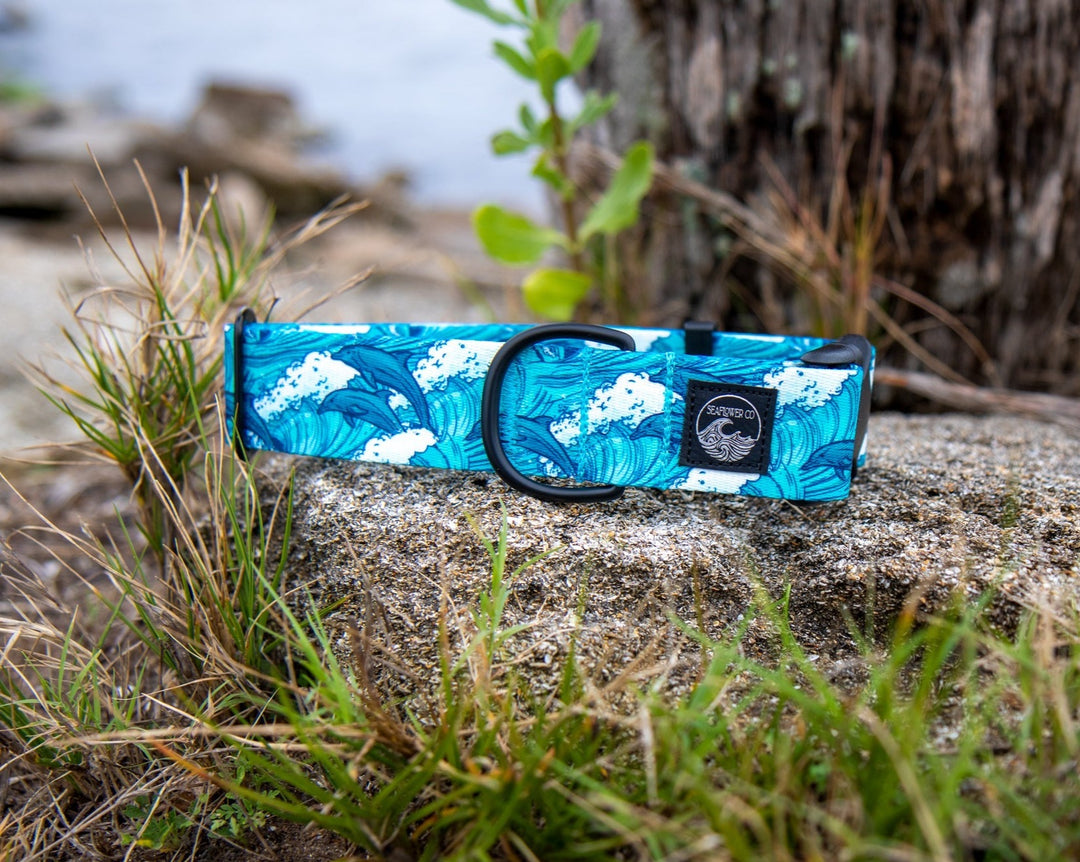 Dolphin Pet Collar | SeaFlower Co