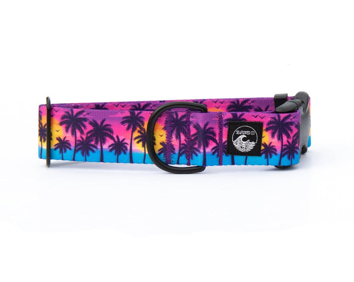 Sunset Beach Dog Collar | SeaFlower Co