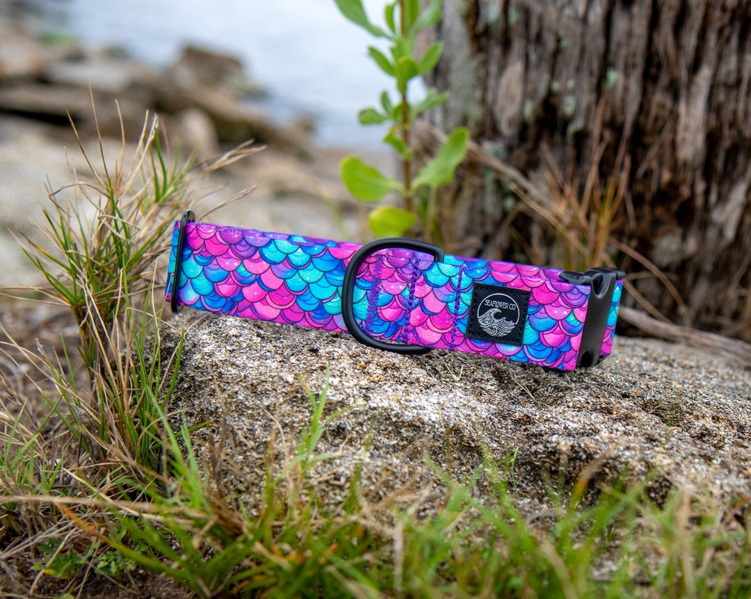 Mermaid Scales Dog Collar | Stylish & Durable Pet Wear