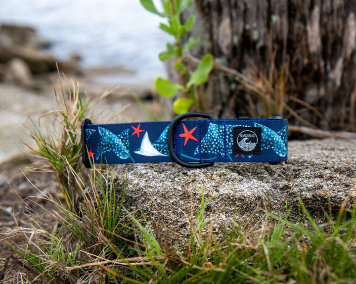 Spotted Eagle Ray Pet Collar | Stylish & Durable Dog Gear