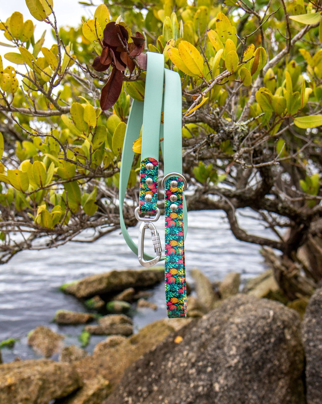 Pineapples BioThane® Leash | Waterproof, Stink-Proof Pet Gear