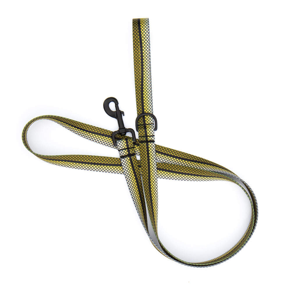 Snook Dog Leash | SeaFlower Co