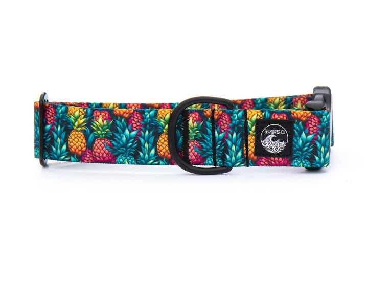Summer Pineapples Durable Pet Collar | SeaFlower Co