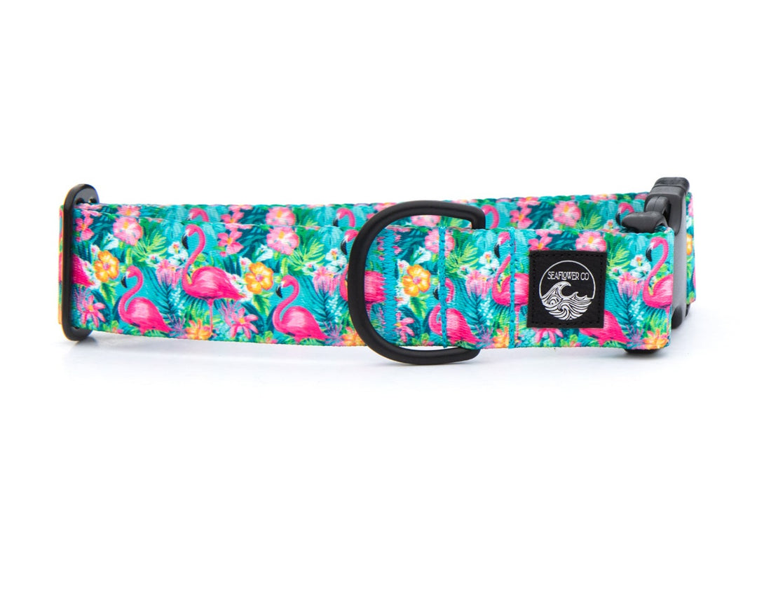 Flamingo Summer Dog Collar | SeaFlower Co