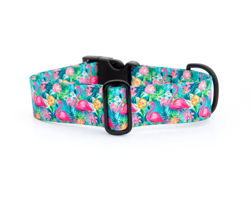Flamingo Summer Dog Collar | SeaFlower Co