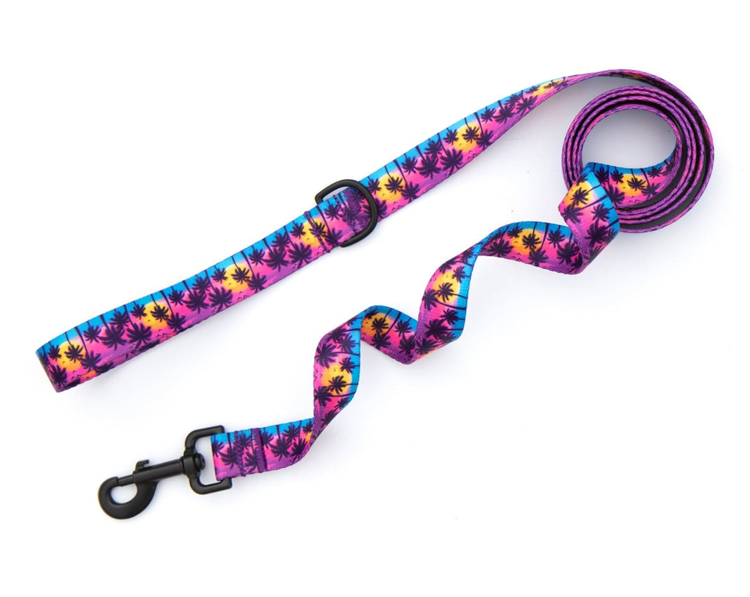 Sunset Beach Dog Leash | SeaFlower Co