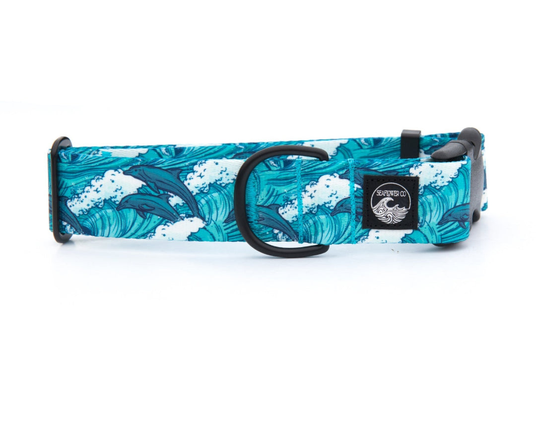 Dolphin Pet Collar | SeaFlower Co