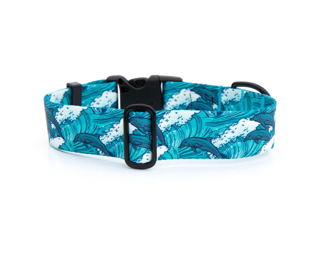 Dolphin Pet Collar | SeaFlower Co