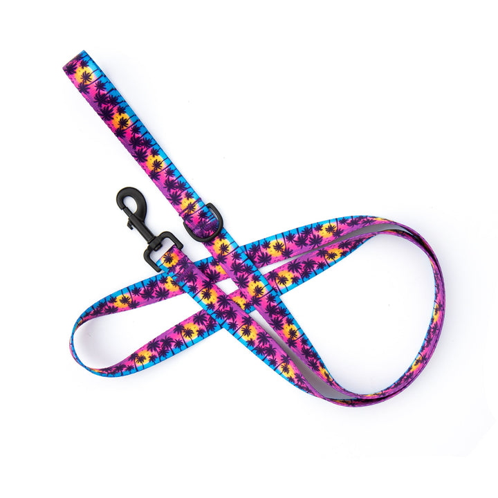 Sunset Beach Dog Leash | SeaFlower Co