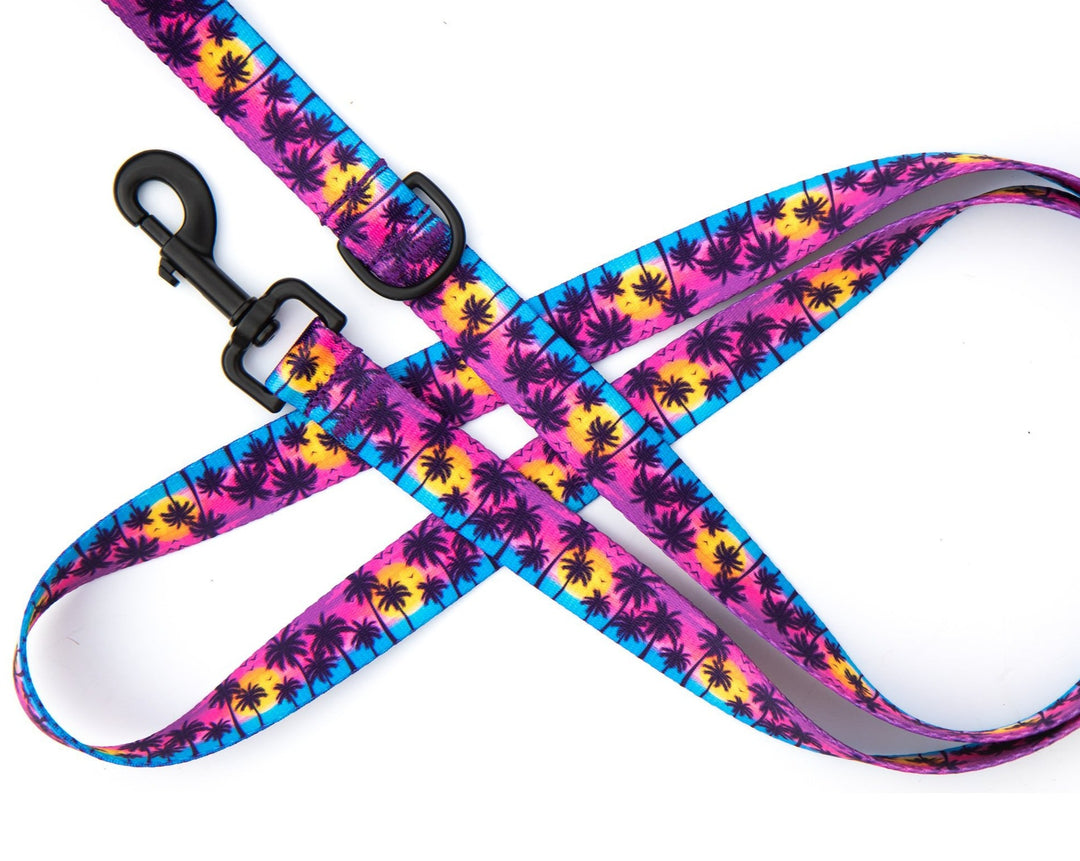 Sunset Beach Dog Leash | SeaFlower Co