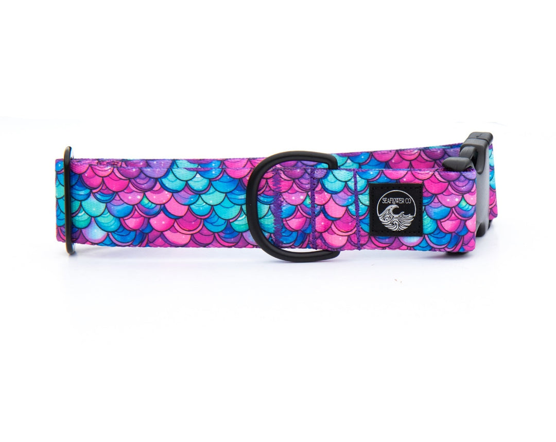 Mermaid Scales Dog Collar | Stylish & Durable Pet Wear