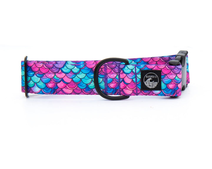 Mermaid Scales Dog Collar | Stylish & Durable Pet Wear