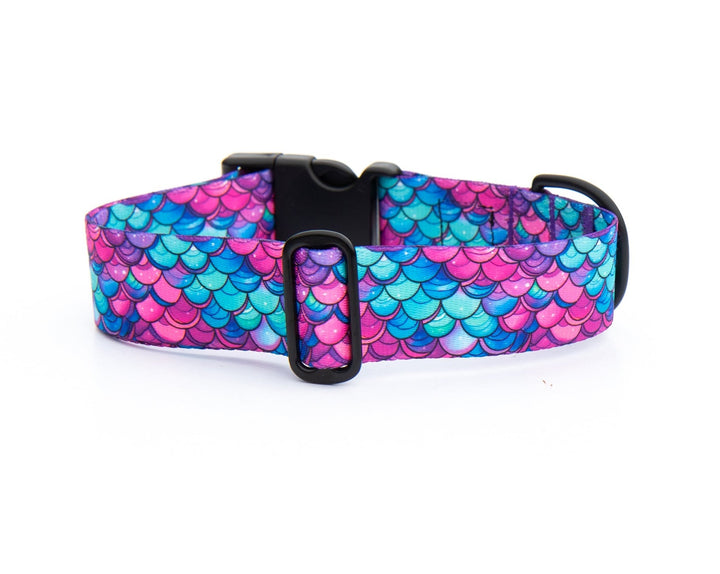 Mermaid Scales Dog Collar | Stylish & Durable Pet Wear