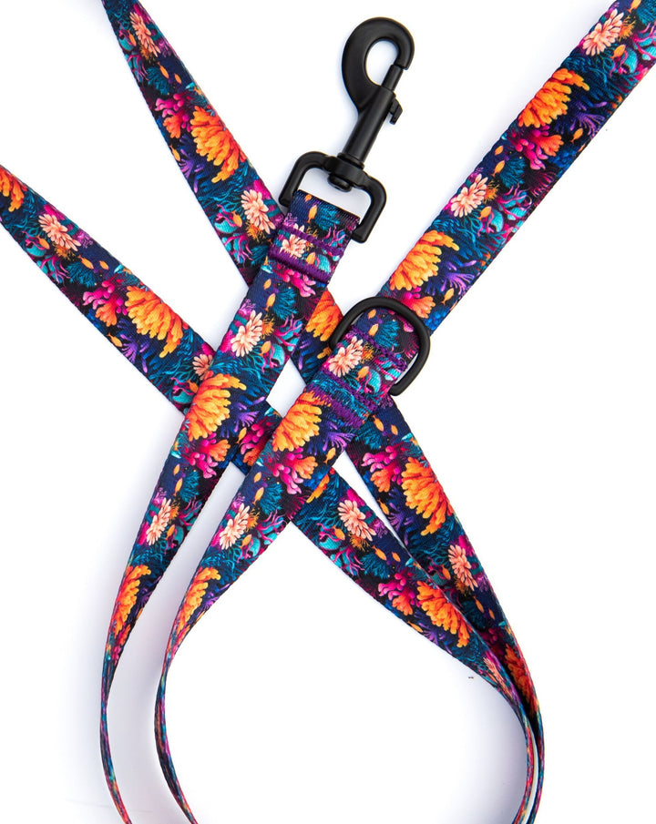 Coral Reef Dog Leash | SeaFlower Co