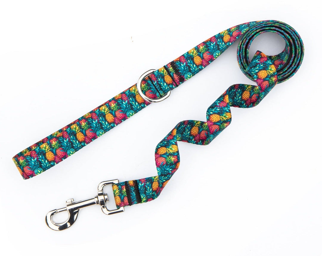 Summer Pineapple Dog Leash | SeaFlower Co