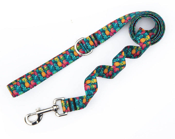 Summer Pineapple Dog Leash | SeaFlower Co