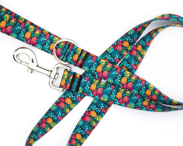 Summer Pineapple Dog Leash | SeaFlower Co