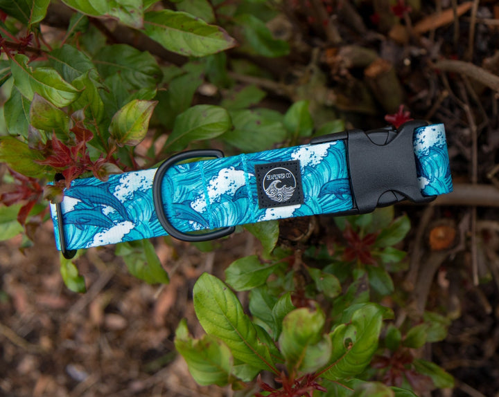 Dolphin Pet Collar | SeaFlower Co
