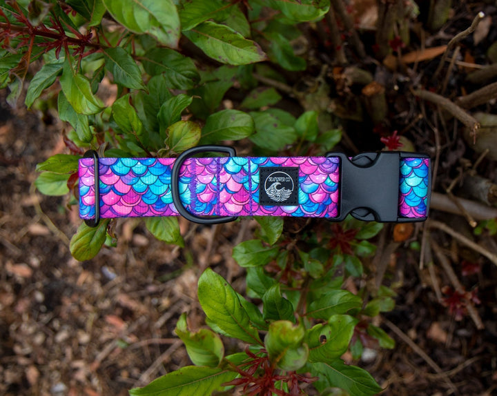 Mermaid Scales Dog Collar | Stylish & Durable Pet Wear