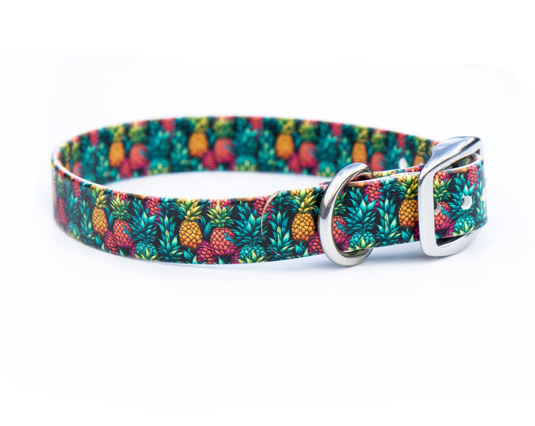 Pineapple BioThane® Dog Collar | Waterproof Pet Gear