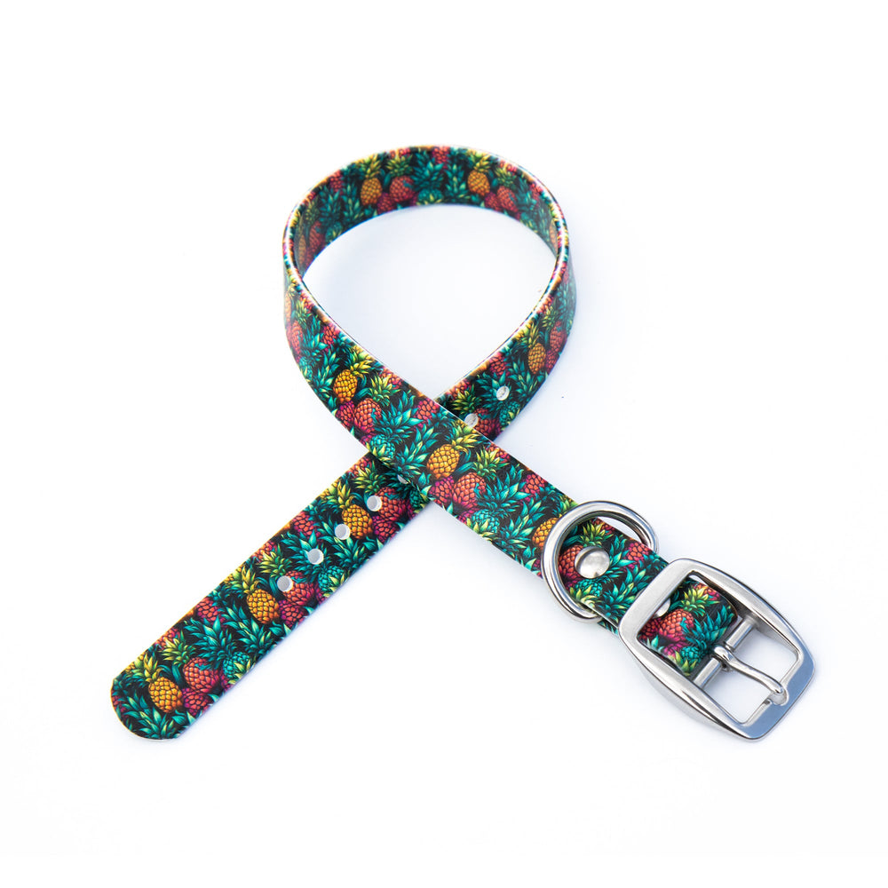 Pineapple BioThane® Dog Collar | Waterproof Pet Gear