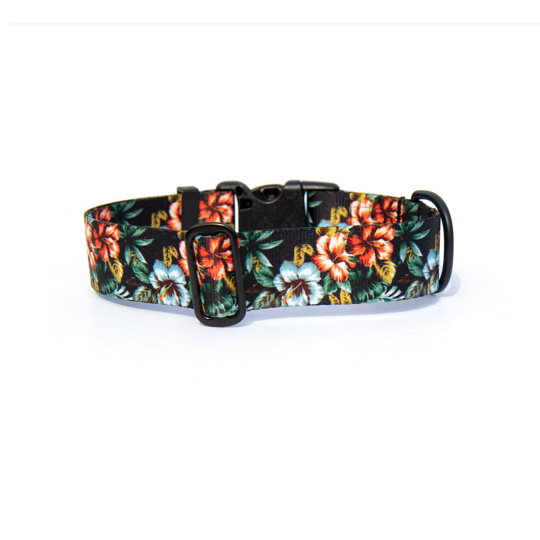 Hawaiian Floral Dog Collar | SeaFlower Co