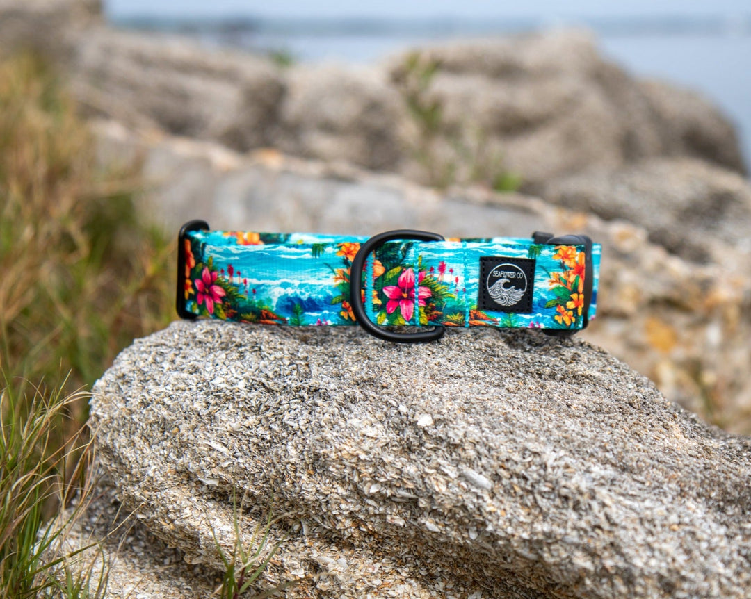 Hawaii Beach Pet Collar | Stylish & Durable Dog Wear