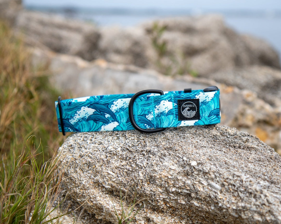 Dolphins Durable Pet Collar | SeaFlower Co