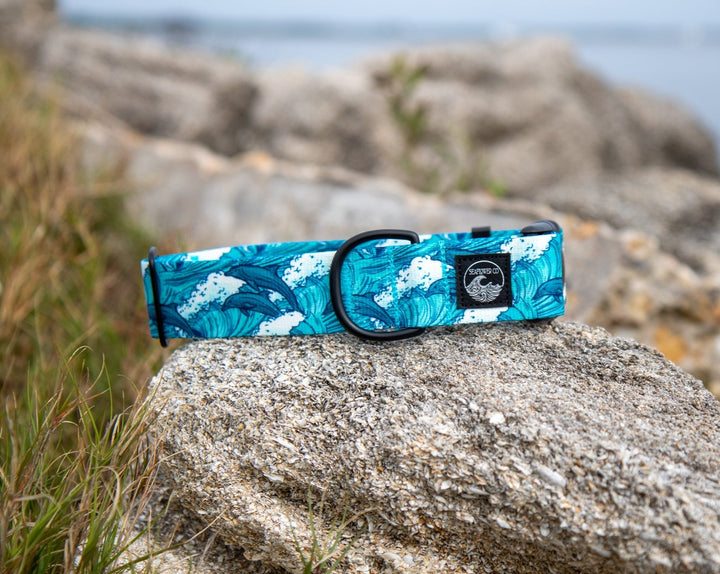 Dolphins Durable Pet Collar | SeaFlower Co